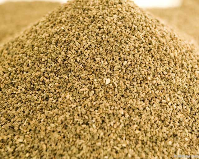 Celery Seed oil