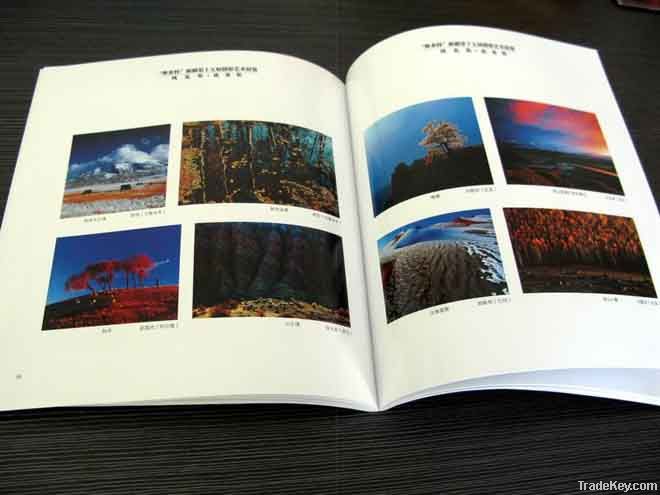 Colourful high quality Book Printing