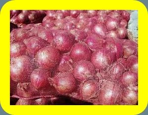 FRESH RED ONION