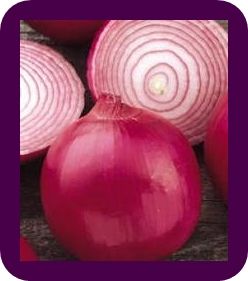 FRESH RED ONION