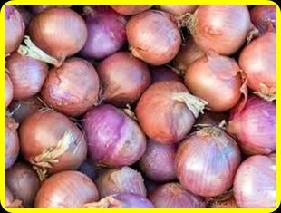 FRESH RED ONION