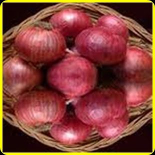 FRESH RED ONION