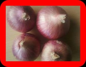 FRESH RED ONION