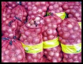 FRESH RED ONION