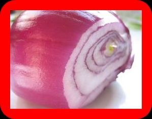 FRESH RED ONION