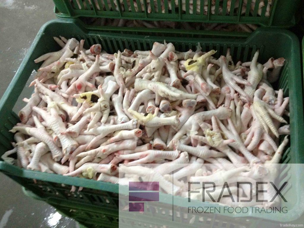 Frozen chicken feet, Grade B, Poland