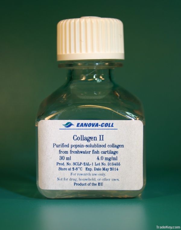 Pepsin-solubilised collagen type II