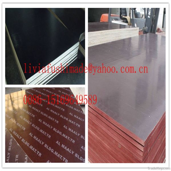 film faced plywood, shuttering plywood