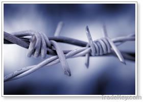 Galvanized/PVC coated barbed wire