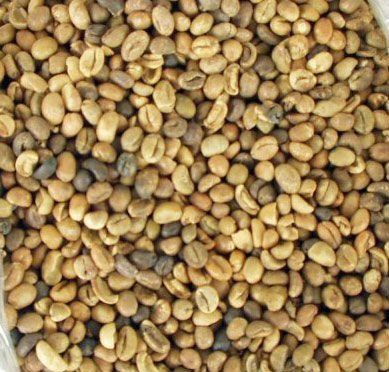 Export Robusta Coffee Beans,Robusta Coffee Bean Importer,Robusta Coffee Beans Buyer,Buy Robusta Coffee Beans,Robusta Coffee Bean Wholesaler,Robusta Coffee Bean Manufacturer,Best Robusta Coffee Bean Exporter,Low Price Robusta Coffee Beans,Best Quality Robu