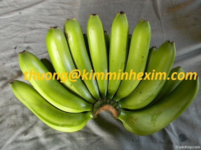 SELL FRESH BANANAS