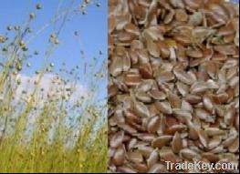 Flaxseed Hull Extract 20%~80%