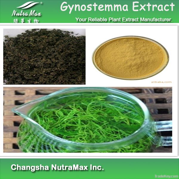 Gynostemma Extract 98% Gypenosides (*****)