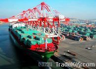 Ocean Freight From China to Dubai/Jebel Ali