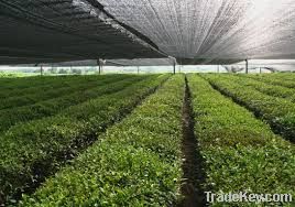 Agricultural Shade Cloth