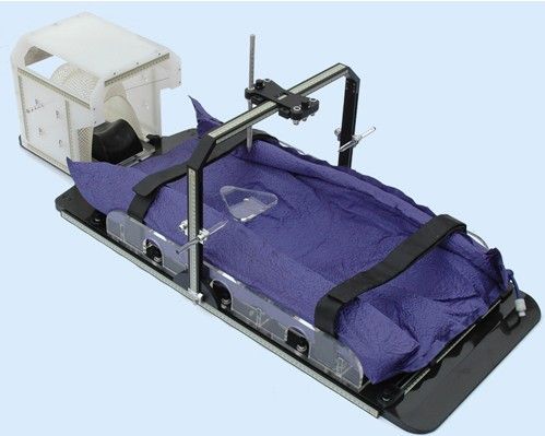 CT X-Ray IMR head body neck shoulder immobilizer
