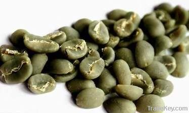 Lintong Arabica Grade 1 Coffee Beans