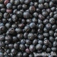 blueberries dried fruit