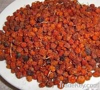 red rowan ordinary dried fruit