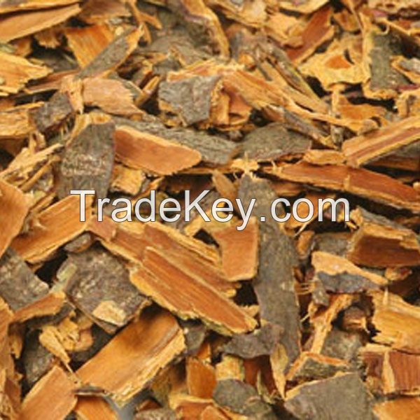 Cortex Frangulae (Buckthorn bark)