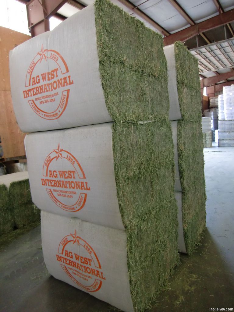 Baled Alfalfa