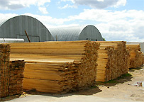 White Wood - Pine Wood board - Beech wood - Oak wood