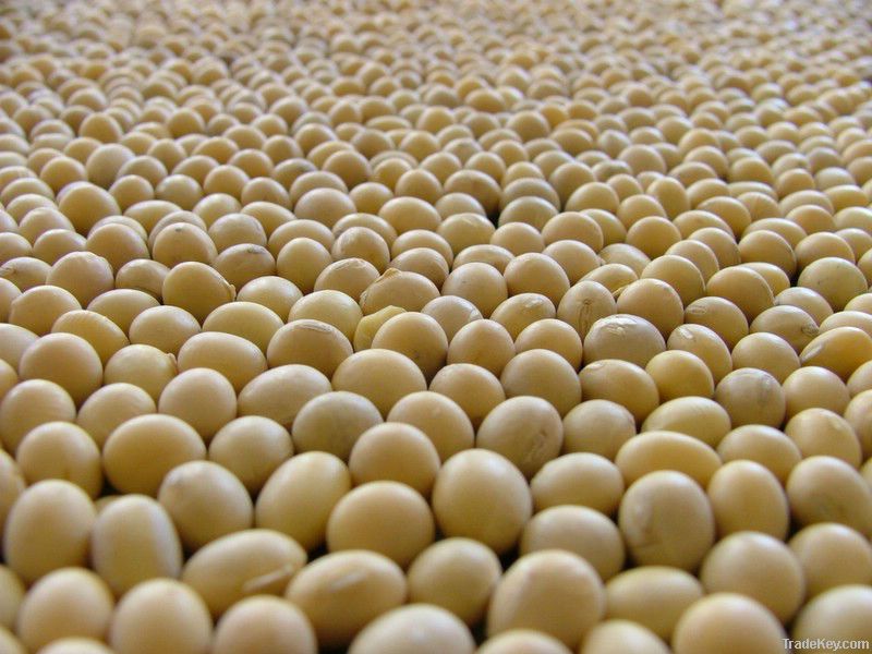 Soybeans