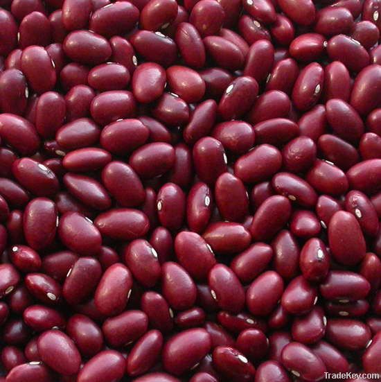 Red Kidney Beans