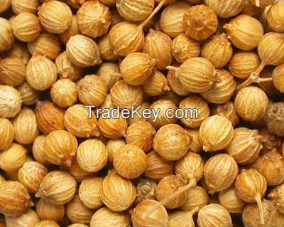 Coriander seeds, coriander split