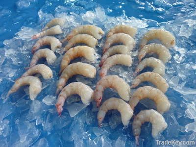 Shrimps PUD