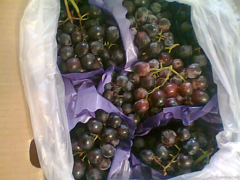 Fresh Seed Grapes