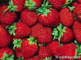 Strawberry for sale