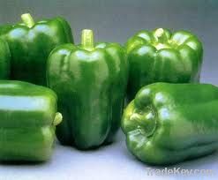 capsicum for sale