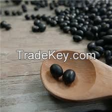 big black beans for sale ,6.5mm, black turtkle bean 