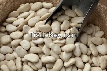  Butter Beans/White Beans/Myanmar Beans 
