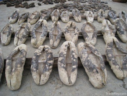 dried sea cucumber