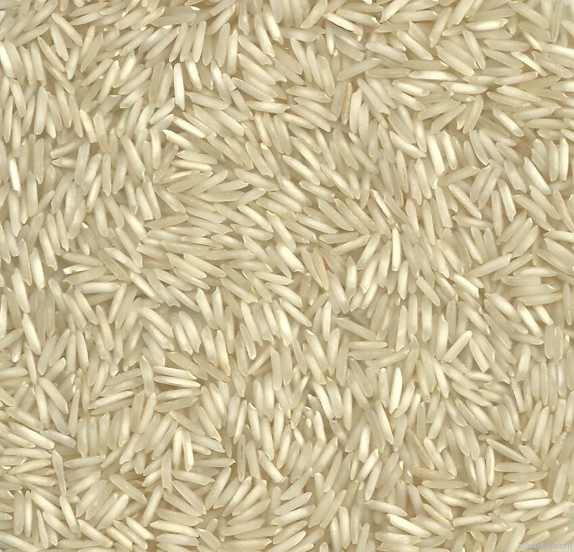 RICE SUPPLIER| PARBOILED RICE IMPORTERS | BASMATI RICE EXPORTER| KERNAL RICE WHOLESALER| WHITE RICE MANUFACTURER| LONG GRAIN TRADER| BROKEN RICE BUYER | IMPORT BASMATI RICE| BUY KERNAL RICE| WHOLESALE WHITE RICE| LOW PRICE LONG GRAIN