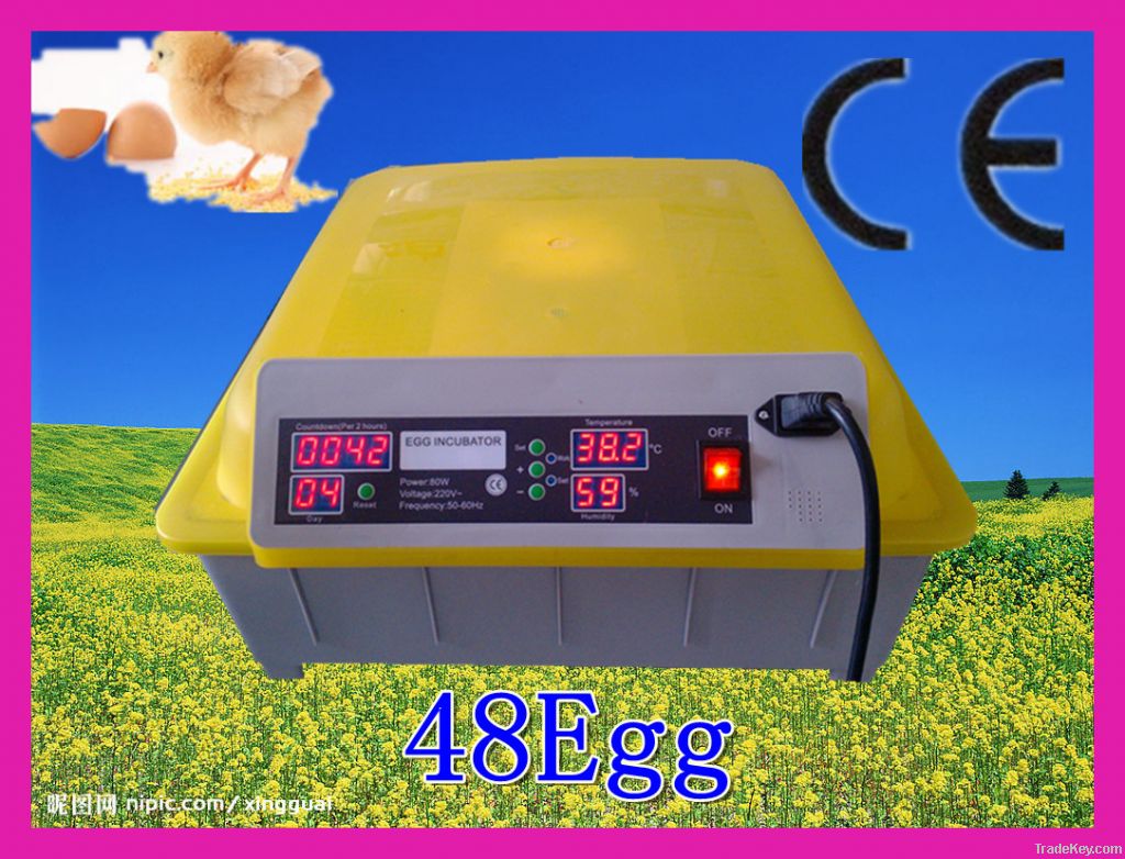 2013 Full Automatic Egg-Turning Best price Mini Egg Incubators EW-48