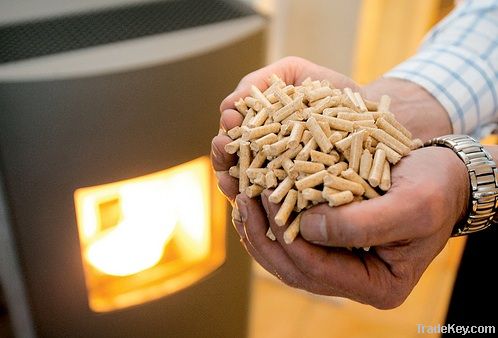 Pine wood pellets