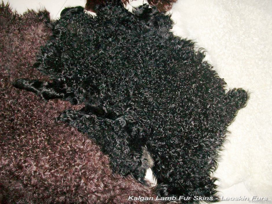 Kalgan Lamb Fur Skins of High Quality