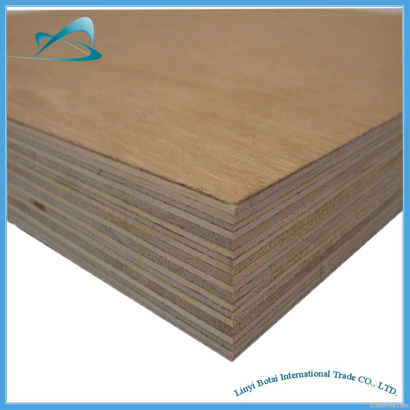 import door skin plywood