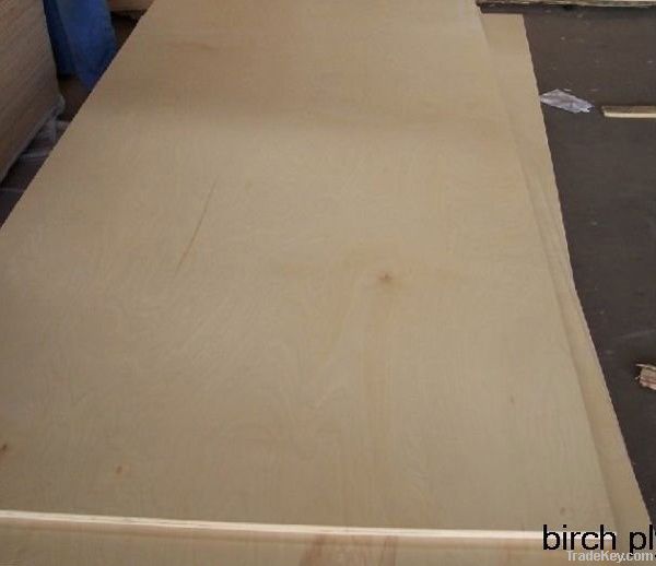 birch ply wood for furniture