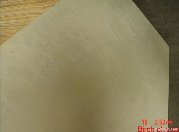 birch ply wood for furniture