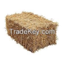 Bale straw wheat