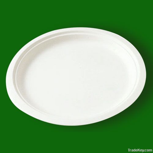 disposable environmental tableware