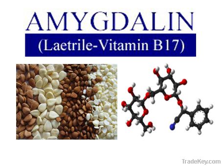 amygdalin, vb17 powder supplier