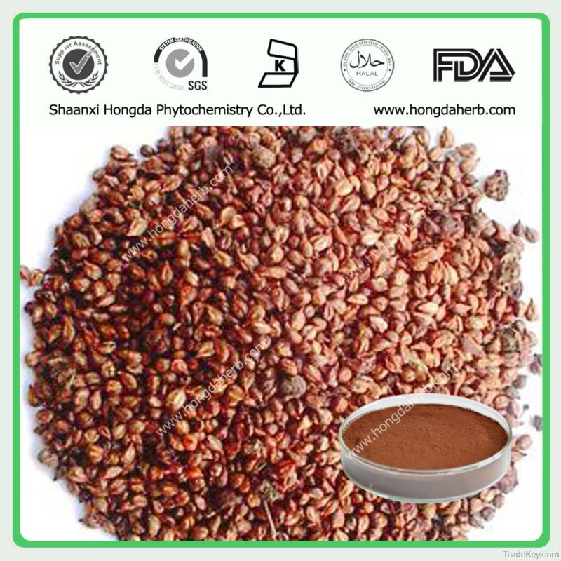 100% Natural Grape Seed Extract Powder
