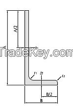 Hot Rolled Steel Angle(RSA) - Unequal Angle steel