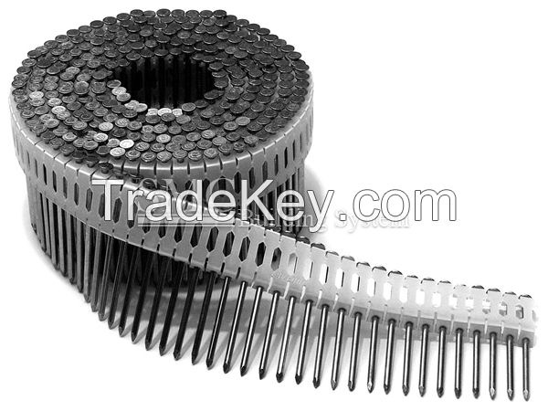 Wire Collated Coil Nail