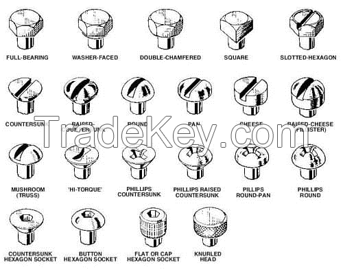 Machine Screw